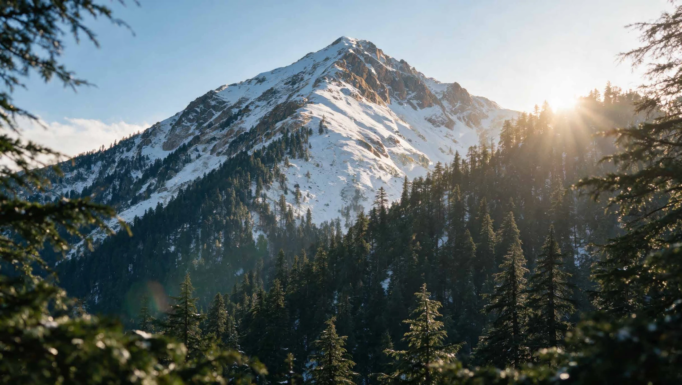 Abhinandan Lodha Shimla - The Ridge snow-covered Himalayan peak framed by deodar trees at Mashobra